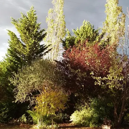 Panzió I Tamerici 3*