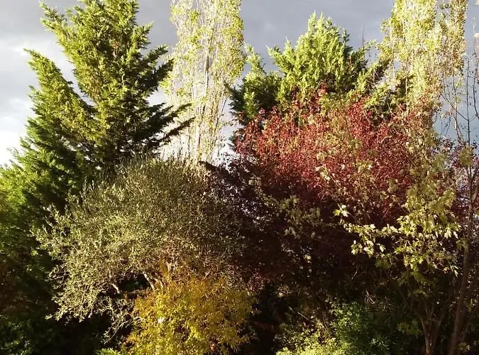 Frühstückspension I Tamerici 3*